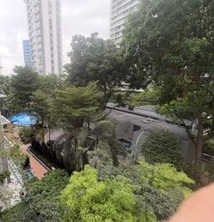 The Peak @ Cairnhill I (D9), Apartment #587712391